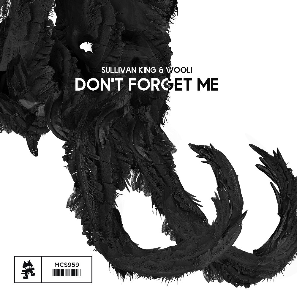 Your EDM Premiere: Sullivan King & Wooli – Don't Forget Me [Monstercat] | Your EDM