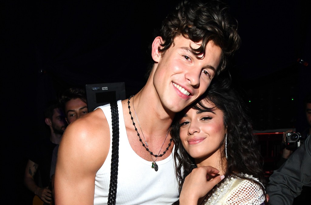 5 Best Moments From Shawn Mendes & Camila Cabello's Precious Live Stream