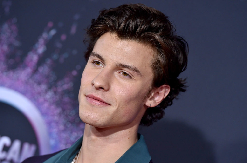 Shawn Mendes Donates to Toronto Hospital to Combat Coronavirus, Urges Fans to Follow His Lead
