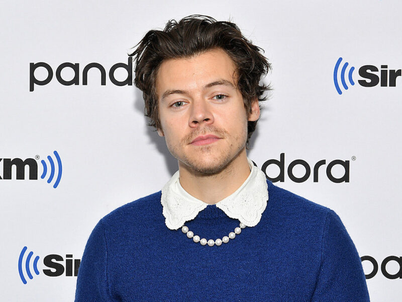 Harry Styles May Have Dyed His Hair Darker and Fans Can’t Stop Talking About It