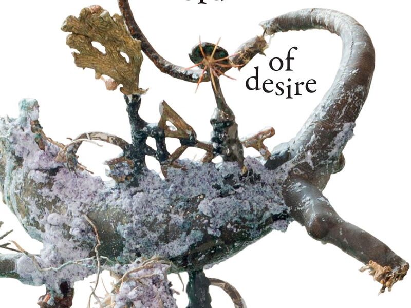 Jack Halberstam's 'Wild Things: The Disorder of Desire' (excerpt)