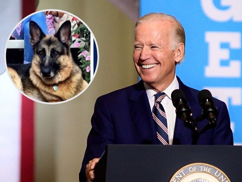 One of Joe Biden’s Dogs Is Going to Be the White House’s First Rescue Pup