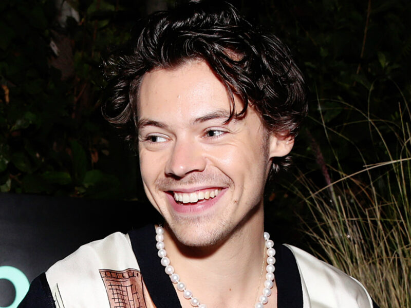 Harry Styles Was Once a Dog Sitter For This Famous Actor