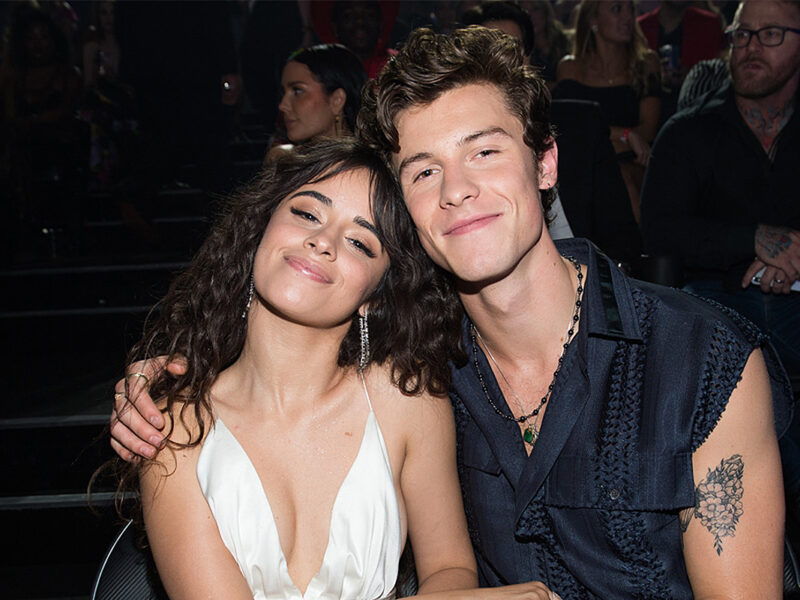 Camila Cabello and Shawn Mendes Collaborate on Christmas Duet for a Great Cause