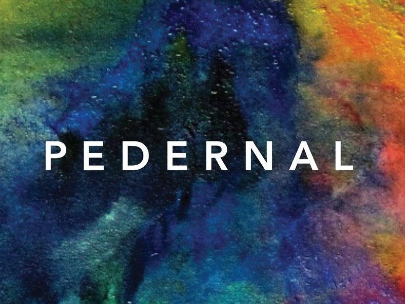 Susan Alcorn's 'Pedernal' Is a Chamber Jazz/Americana Blend