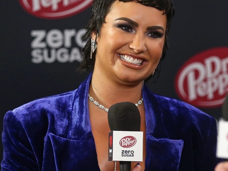 Demi Lovato Inadvertently Promotes Sugar-Free Soda Just Weeks After Froyo Shop Criticism