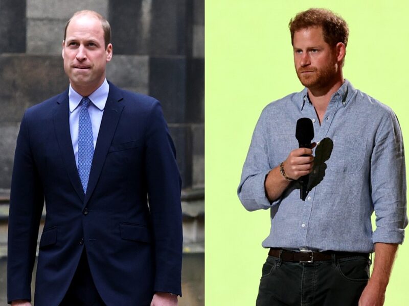 Prince William and Prince Harry Reportedly Called a ‘Truce’ Ahead of Princess Diana Statue Debut