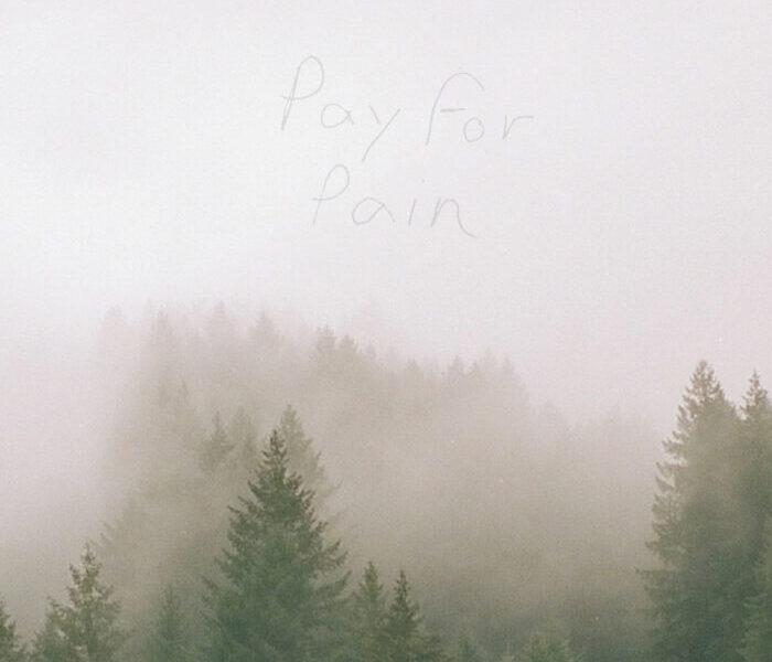 On Shuffle: “Until I Walk Through The Flames” by Pay For Pain