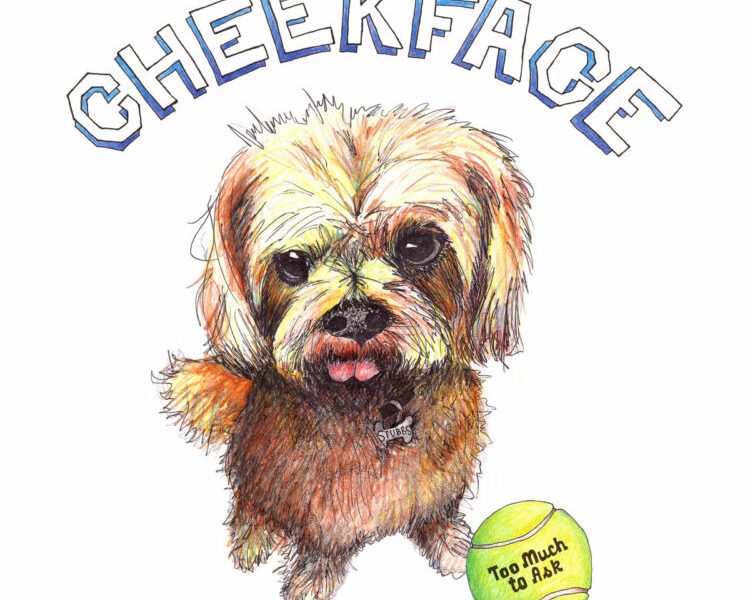 Album Review: Cheekface – ‘Too Much to Ask’