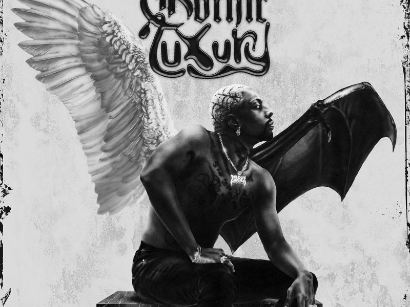 Album Review: Meechy Darko – ‘Gothic Luxury’