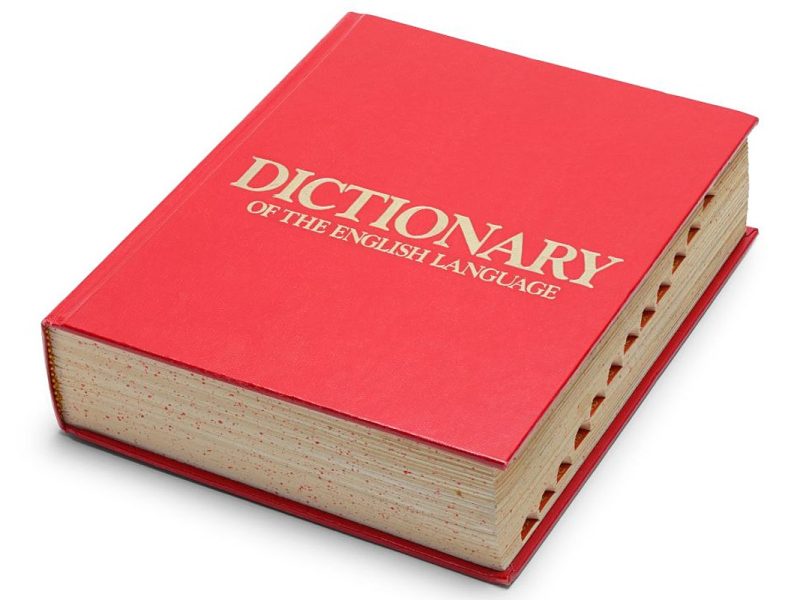 Dictionary Just Added 313 New Words for 2023