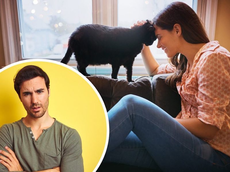 ‘Heartless’ Man Insists Girlfriend Give Up Her Cats to Move In