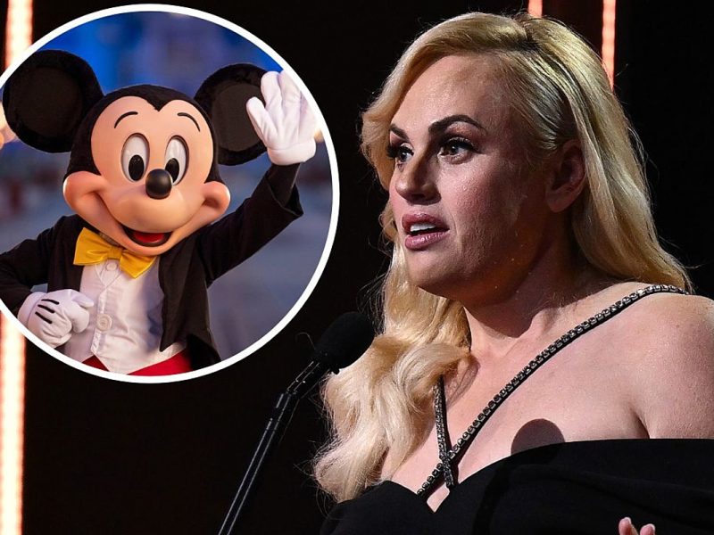 Why Was Rebel Wilson Banned From Disneyland?