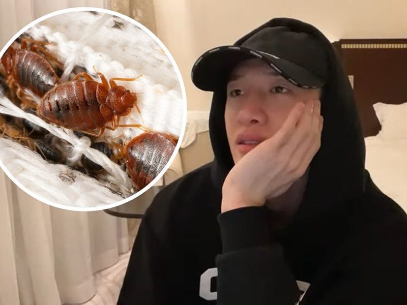 Bang Chan Got Bit by Bed Bugs During U.S. Stray Kids Tour