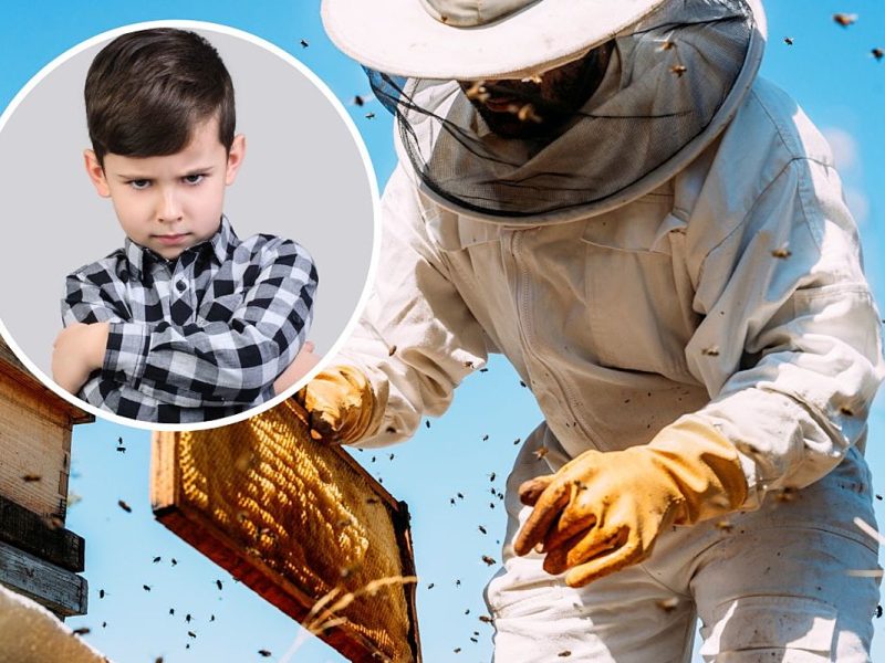 Man Refuses to Get Rid of Bee Colony Despite Nephew’s Allergy