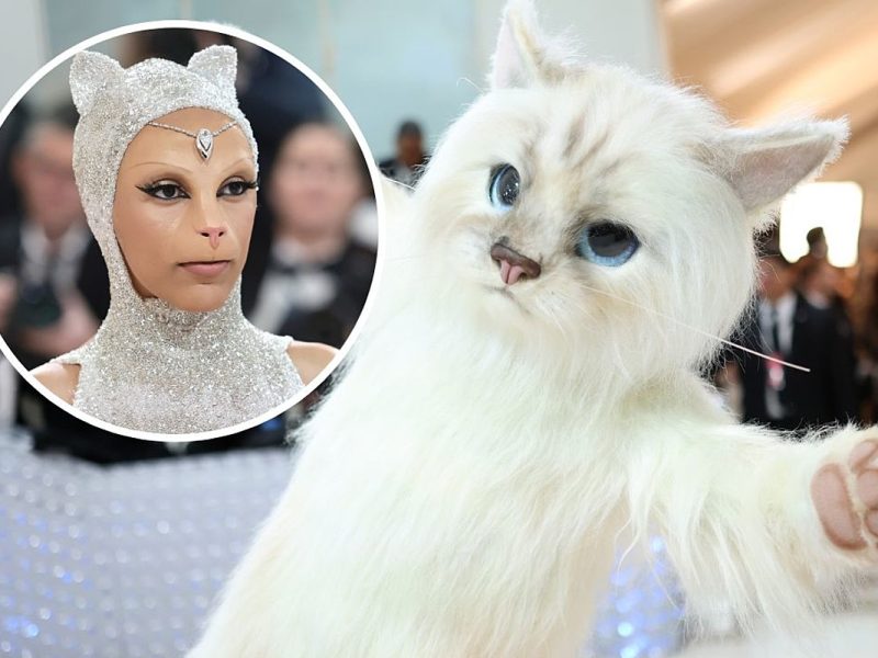 Doja Cat & Jared Leto Dress Up as Felines for 2023 Met Gala