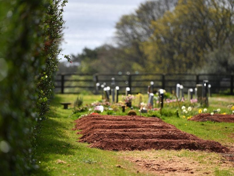 Classic TikTok Hack Helps Catch a Graveyard Thief