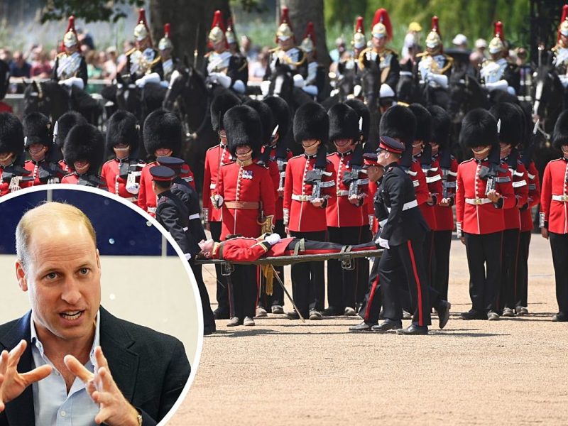 Prince William Reacts After Royal Palace Guards Faint From Heat