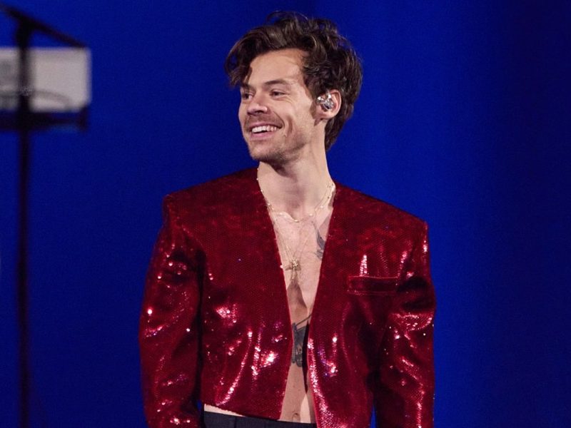 Harry Styles Stops Concert for Pregnant Woman, Chooses Baby Name