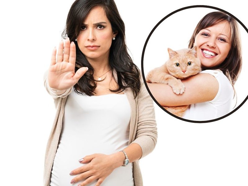 Cousin Demands Woman Change Cat’s Name so She Can Use It for Baby