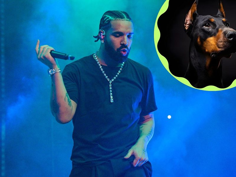 Drake Photographed Wearing Dog Mask En Route To Sold Out Show