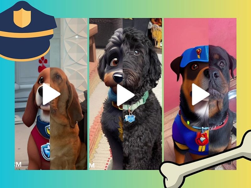 TikTok Trend Turns Dogs Into PAW Patrol Characters