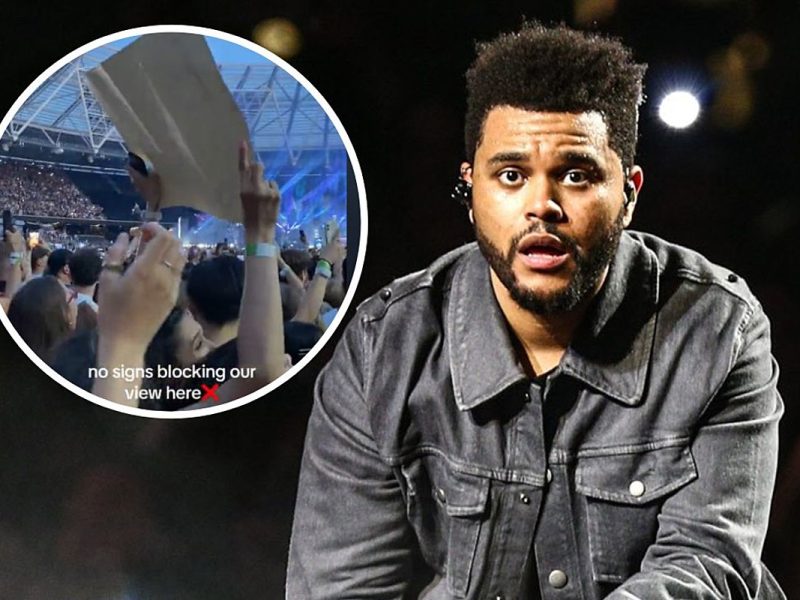 The Weeknd Fan Snatches Sign Blocking View at Concert (VIDEO)