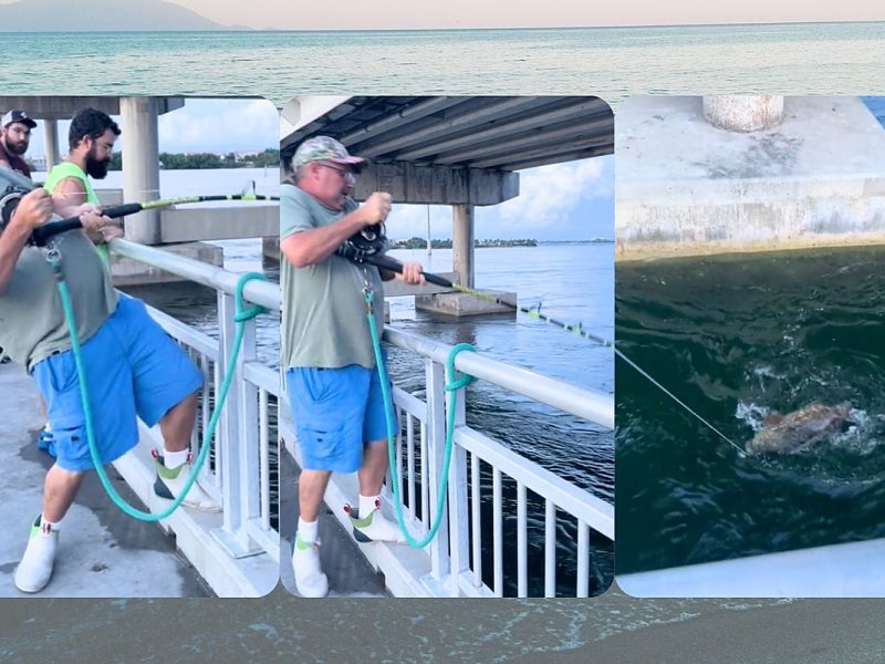 Florida Fishing TikTok Is More Intense Than Any Movie This Summer