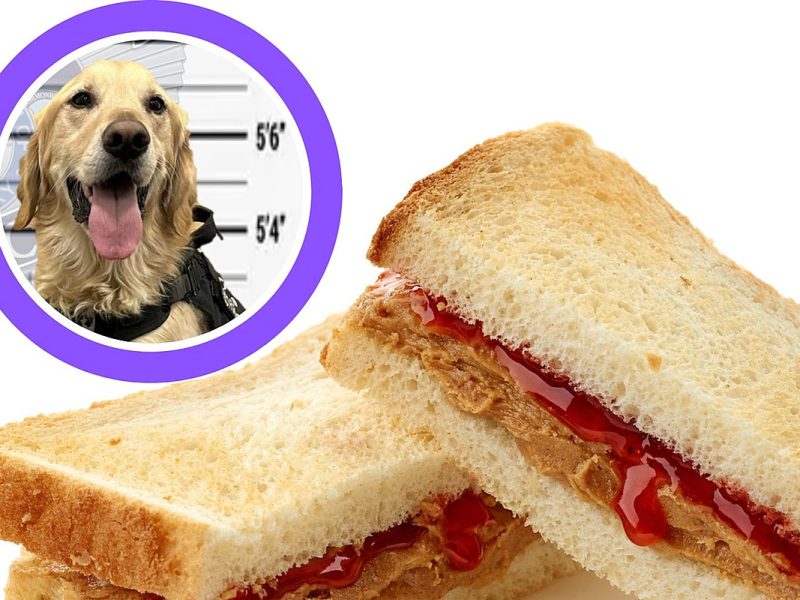 Stolen Sandwich Has Kentucky Police Questioning One Of Their Own