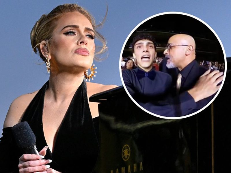 Adele Stops Concert to Scold Security Guards for ‘Bothering’ Fan