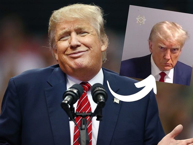 Funniest Donald Trump Mugshot Memes