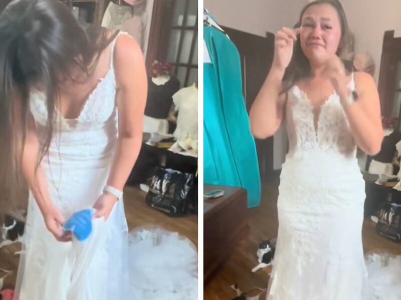 Bride Left Speechless After Seeing Surprise on Wedding Dress