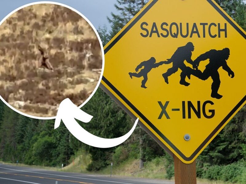 Does This Chilling Viral Video Prove Bigfoot Exists?