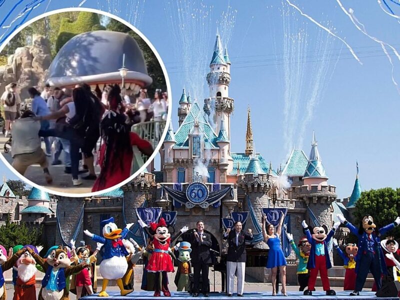 Disneyland Brawl Erupts in Fantasyland (VIDEO)