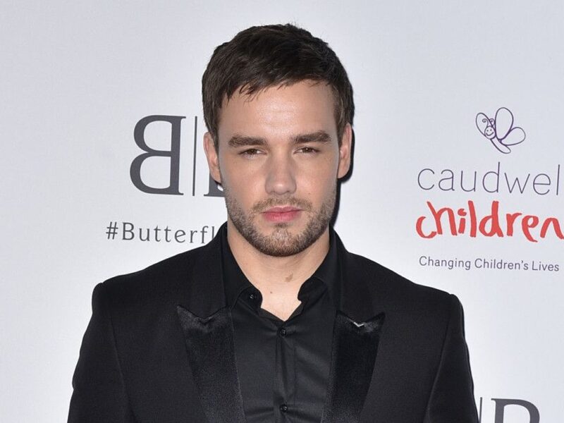 Why Was Liam Payne Banned From Driving?