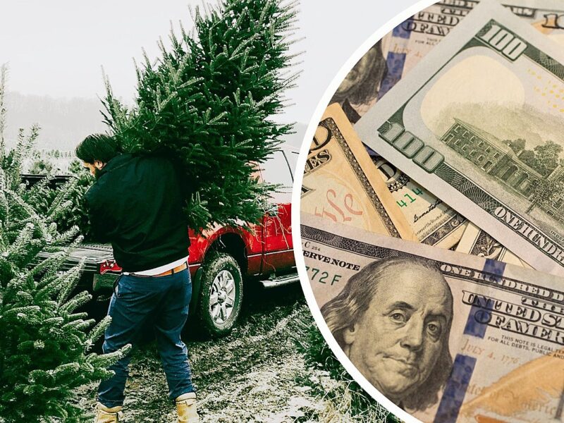 Christmas Tree Prices Will Likely Increase for These Reasons