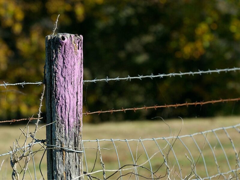 If You See Purple Paint on a Fence Post or Tree Walk Away