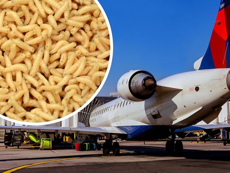 Airline Passenger Showered With Maggots From Overhead Bin