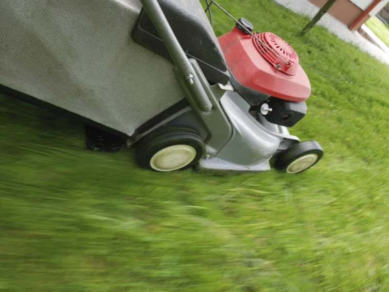Hurry Up and Mow if You Must Because It’s Almost ‘No Mow May’