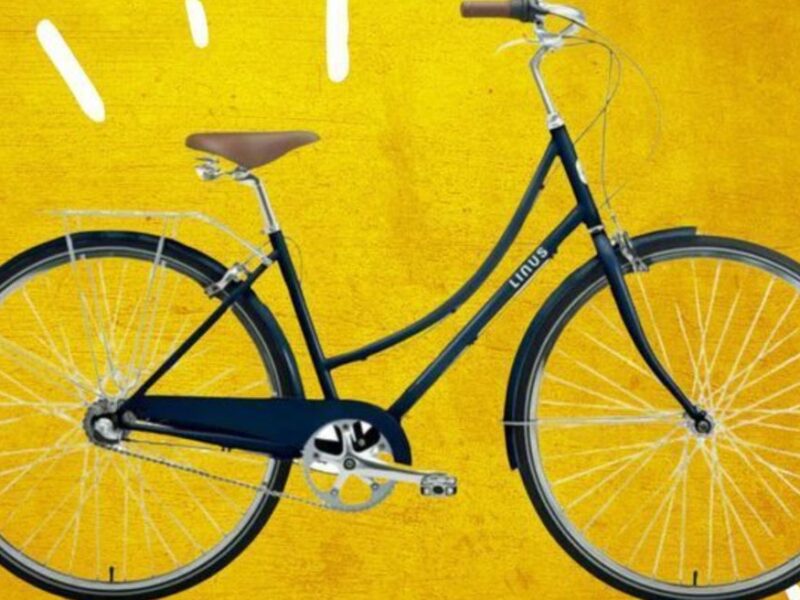 Experts Recommend The 7 Best Affordable Bikes For Casual Bike Riders