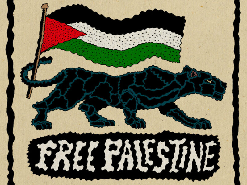 Comp for Palestine!