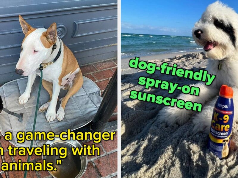 17 Useful Products For Anyone Who Plans To Take Their Dog With Them To As Many Places As Possible This Summer