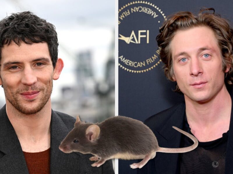 The Golden Retriever Boyfriend Is Out And Hot Rodent Men Are In — Would You Consider These Men To Be “Sexy Rat” Boyfriends?