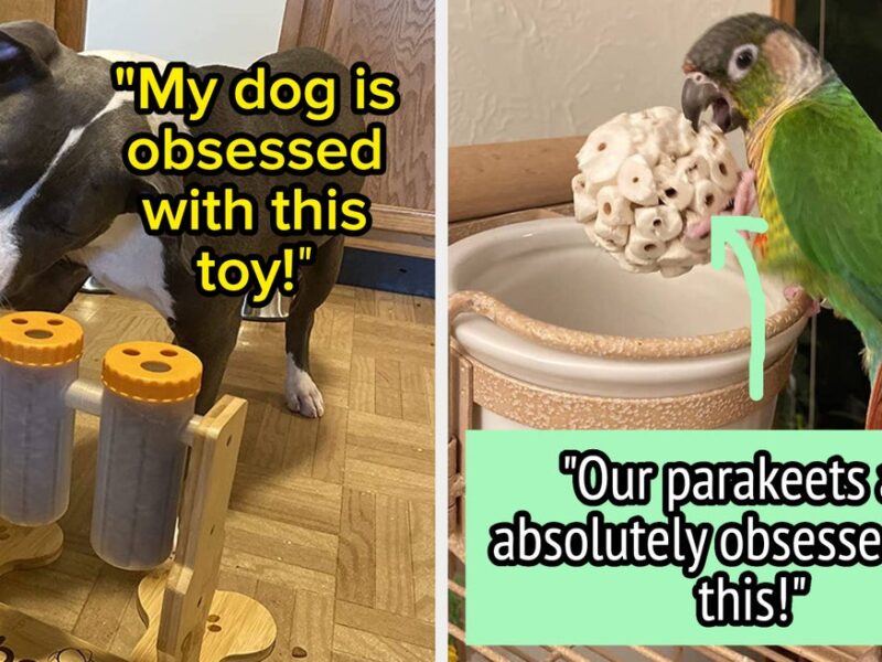 27 Products Pet Owners Say They (Or Their Pets) Are “Obsessed” With