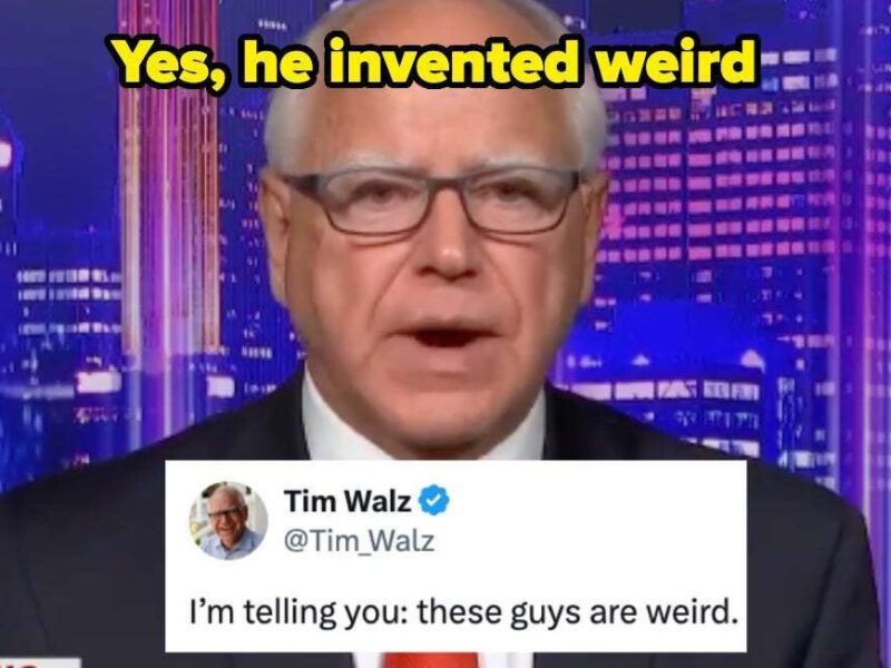 19 Things To Know About Kamala Harris’s VP Pick, Tim Walz