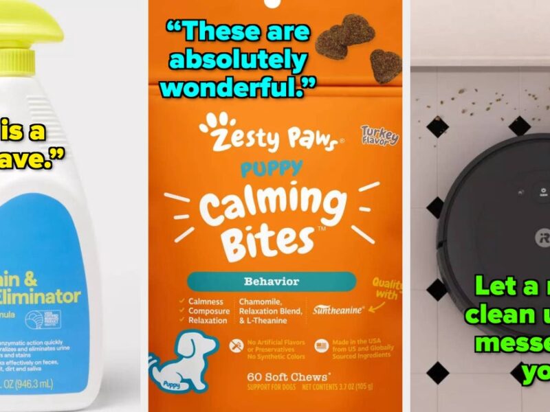 20 Target Products For Your Pet’s Routine That’ll Get You ~Two Paws Up~