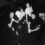 Interview: Porcelain