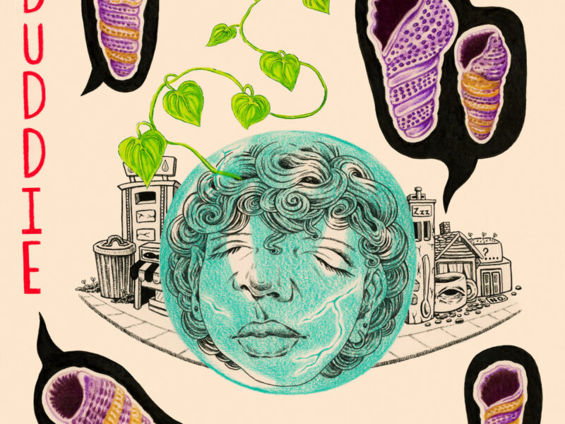 Rapidfire Reviews: Buddie, Wishes on a Plane, Mini Trees