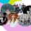 Win a VIP Experience at Lollapalooza 2026: Enter the Summer Sendoff Sweepstakes