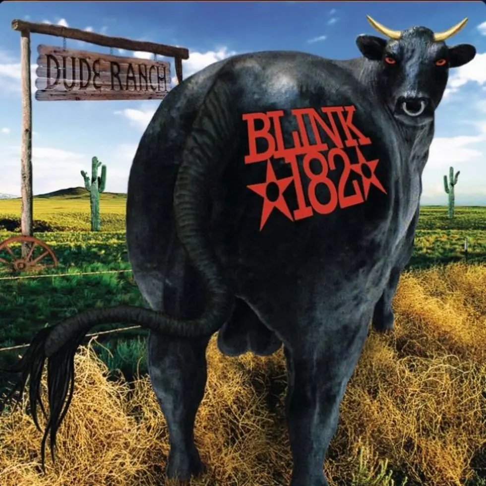 Blink-182 - Dude Ranch album cover